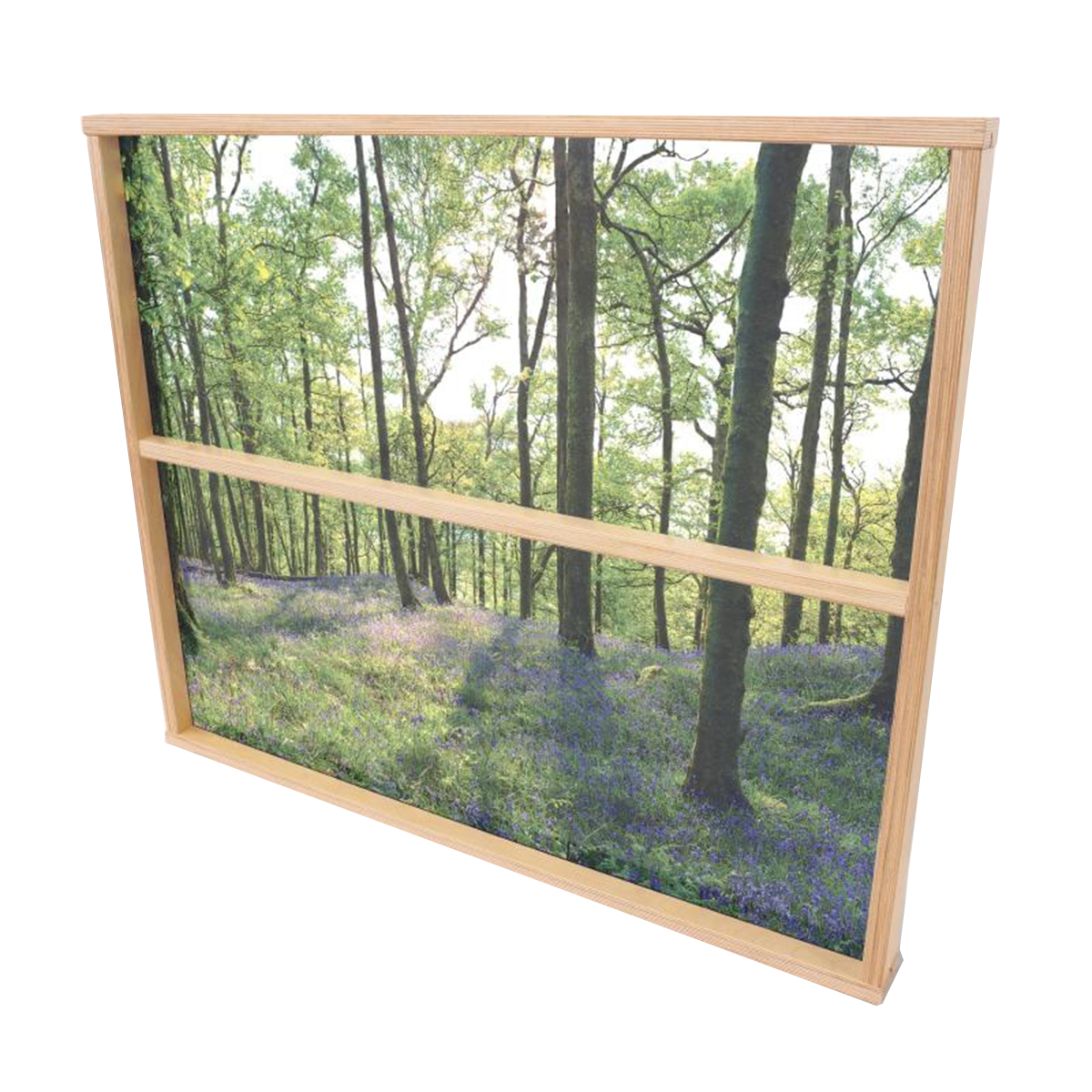 Nature View Divider Panel Woodland Scene Schools In