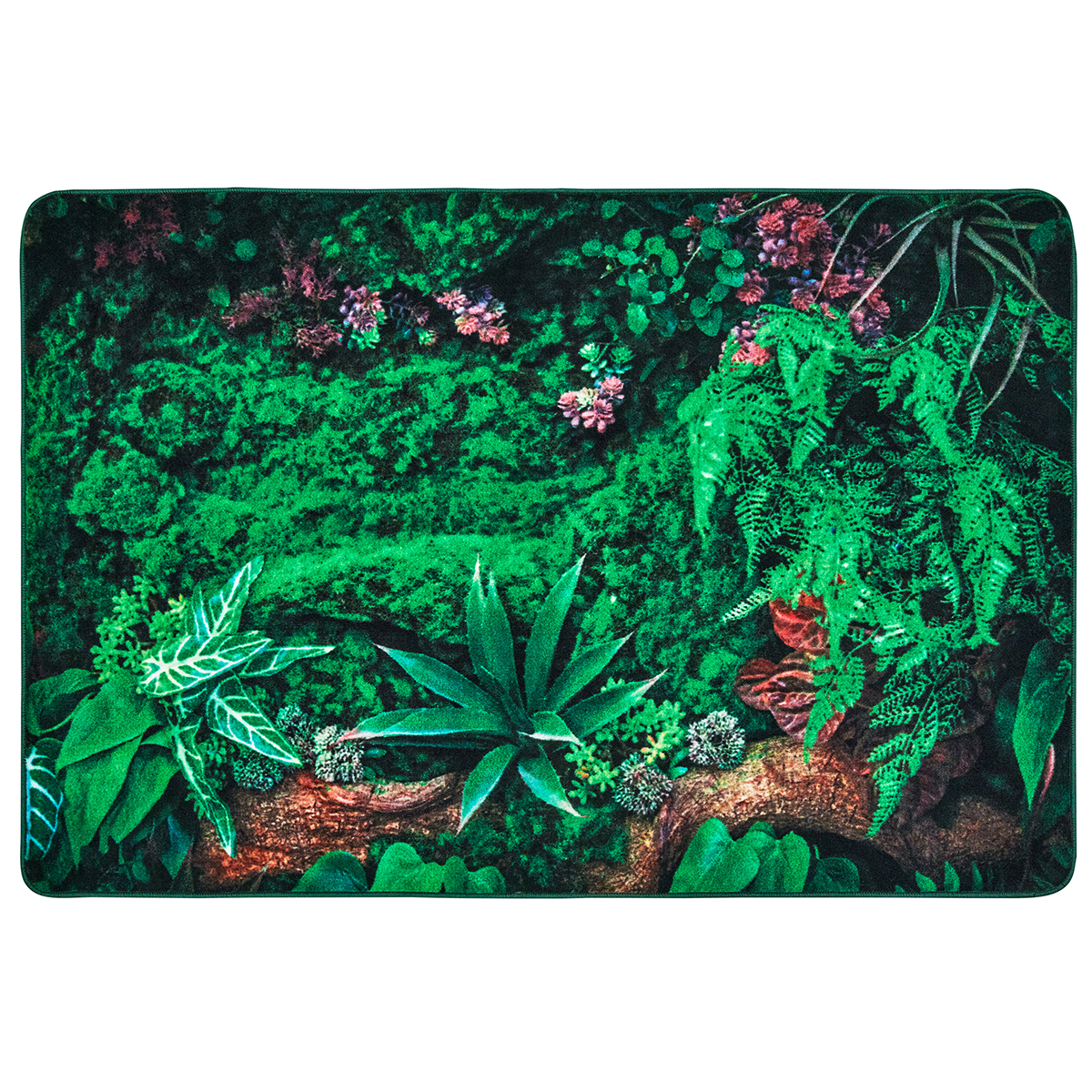 Real Jungle Floor Classroom Rug - Rectangle - 4'W x 6'L | Schools In